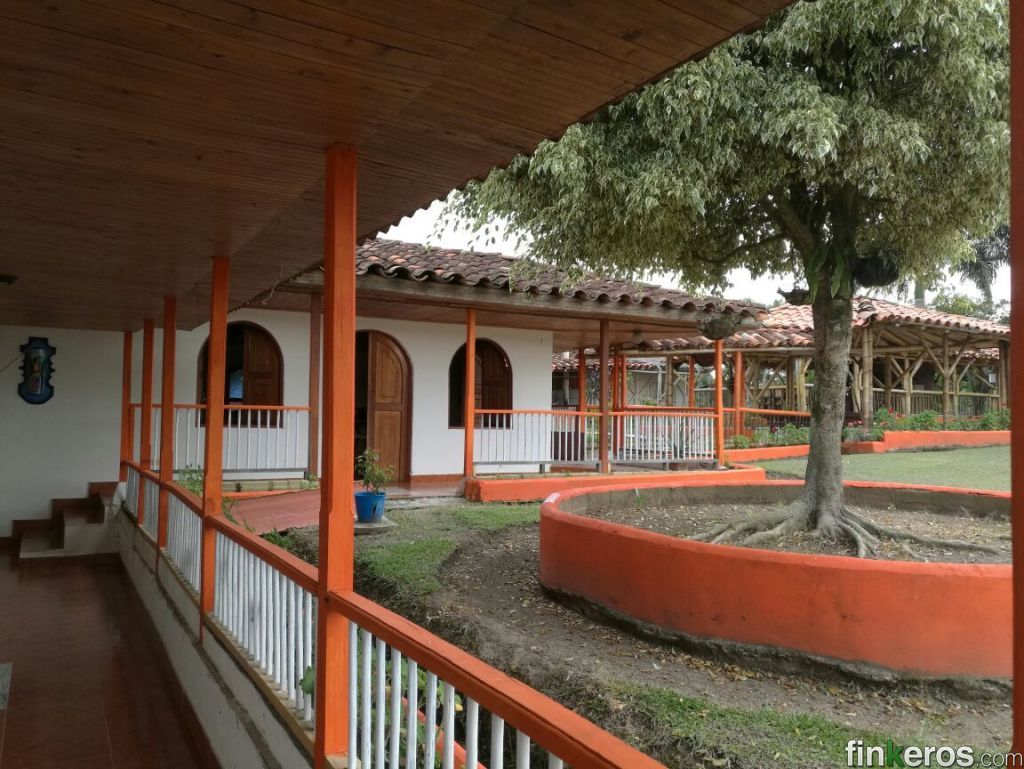 ALOJAMIENTO PARA TURISTAS EN EL QUINDIO - Finca en Quimbaya, Quindío